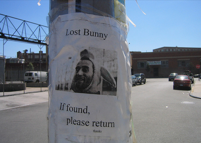 Lost Bunny