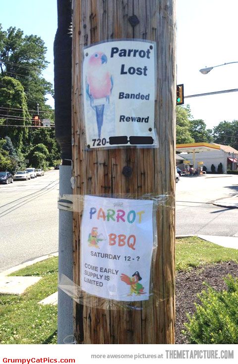 The-Lost-And-Found-Parrot-Very-Funny-Signs-On-The-Wall-Picture - BandIt  Tape Gun - BandIt Tape Gun