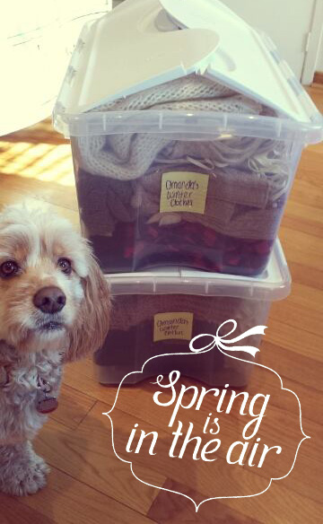 Packing us your clothes for Spring!
